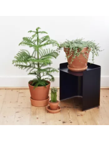 Table basse Flor - 3 dimensions