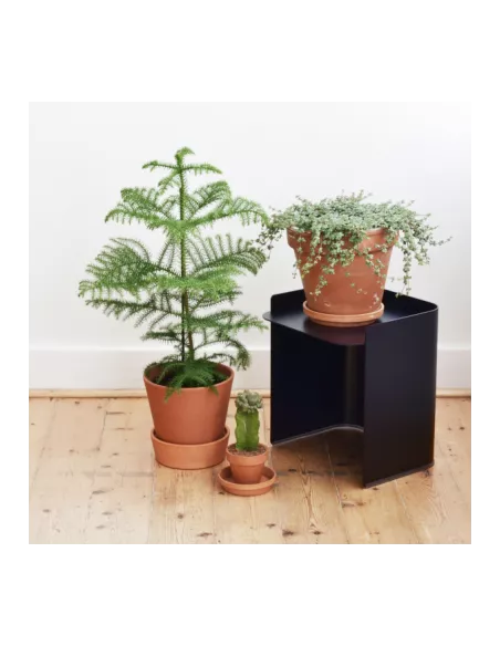 Table basse Flor - 3 dimensions