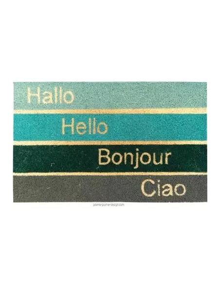 Paillasson Original - Bonjour Hello - 45x75 cm