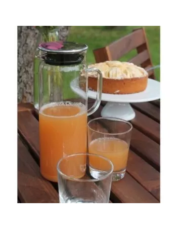 Pichet carafe en verre grande contenance de Kela 2