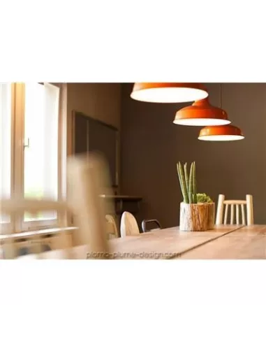 Luminaire Extérieur Pandulera Burnt Orange