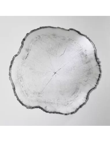 Miroir Design Tronc Arbre Arbo Dark L