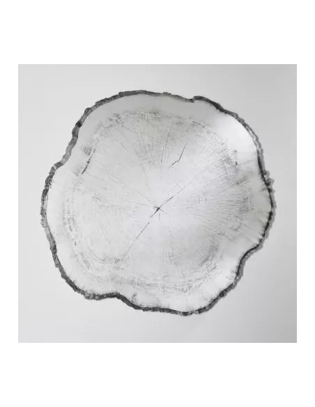 Miroir Design Tronc Arbre Arbo Dark L