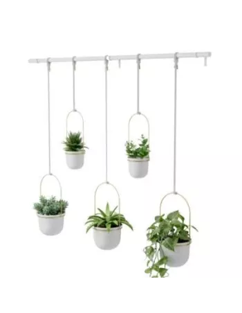 Grande jardinière suspendue Triflora Umbra