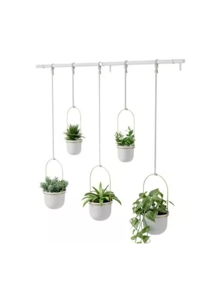 Grande jardinière suspendue Triflora Umbra