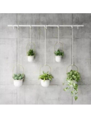 Grande jardinière suspendue Triflora Umbra