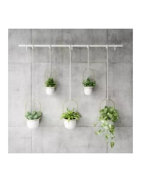 Grande jardinière suspendue Triflora Umbra