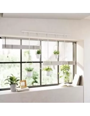 Grande jardinière suspendue Triflora Umbra