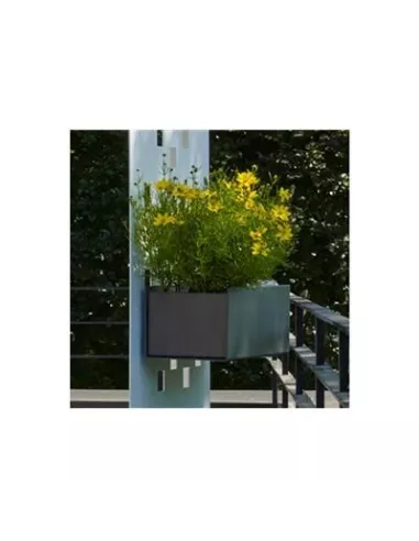 Bac à fleurs pour Separo Solo Anthracite