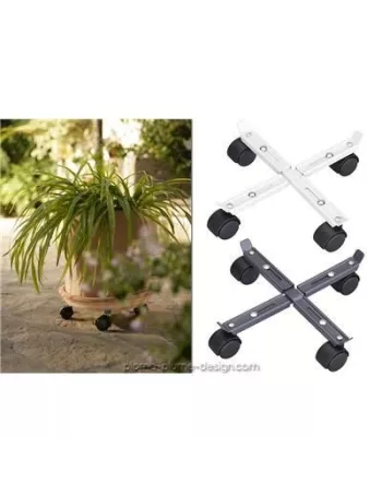 Omega 25 de Flora chez Plomb plume design 2