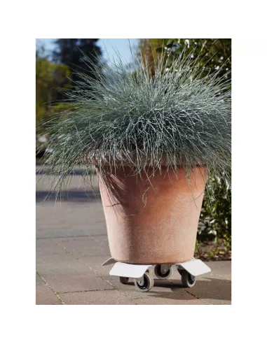 Support pot à roues Lorry 25 - Gris clair