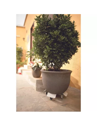 Support pot à roues Lorry 25 - Gris clair