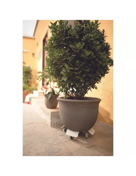 Support pot à roues Lorry 25 - Gris clair