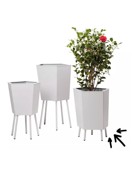 Gamme élévation de Flora