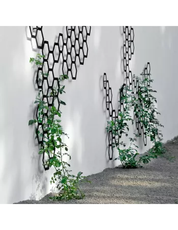 Flora treillis 50 Comb-ination 2