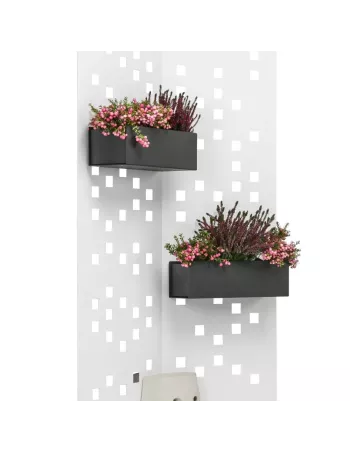 Bac à fleurs pour Separo Solo Anthracite