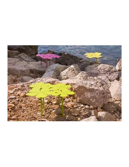 Table basse bouquet Notus