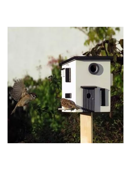 Mangeoire et Nichoirs Oiseaux - Maison Moderne Korsvirke