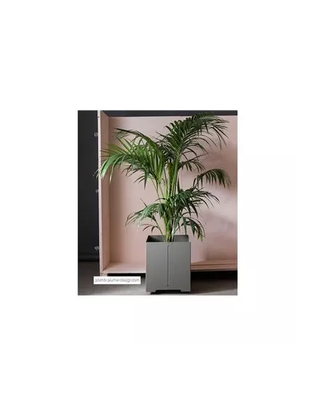 Bac Cape Carrée Basse