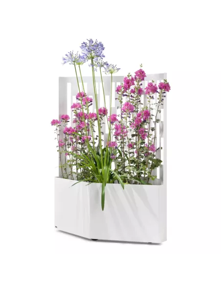 Brise vue jardinière mobile - Elmas 120 - Blanc