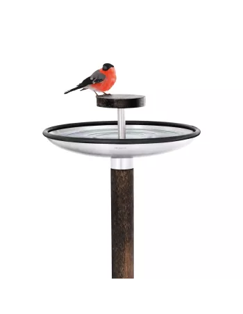 Perchoir, Mangeoire ou bain pour Oiseaux Fuera Inox Brossé 2