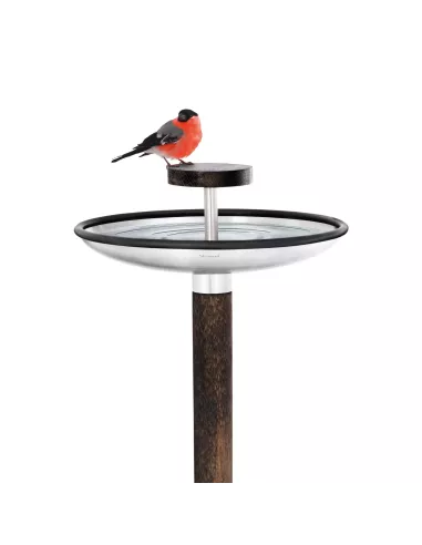Perchoir, Mangeoire ou bain pour Oiseaux Fuera Inox Brossé