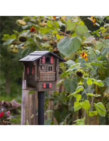 Mangeoire et Nichoir oiseaux - Chalet de Montagnes 2