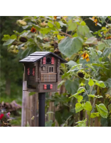 Mangeoire et Nichoir oiseaux - Chalet de Montagnes