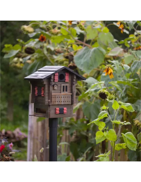 Mangeoire et Nichoir oiseaux - Chalet de Montagnes