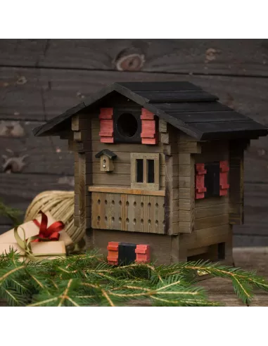 Mangeoire et Nichoir oiseaux - Chalet de Montagnes