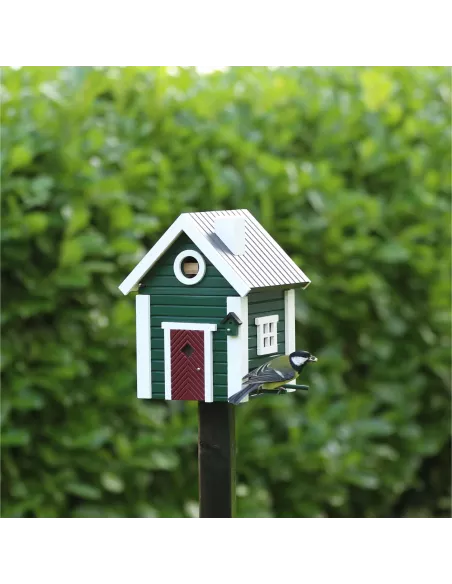 Mangeoire et Nichoir Oiseaux - Maison Verte