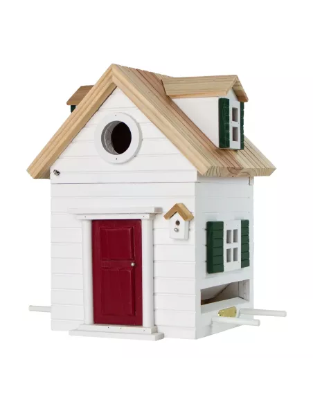 Mangeoire et Nichoir Oiseaux - New England