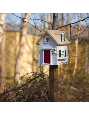 Mangeoire et Nichoir Oiseaux - New England 2