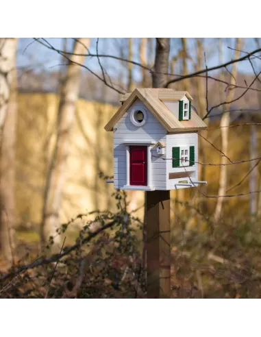 Mangeoire et Nichoir Oiseaux - New England