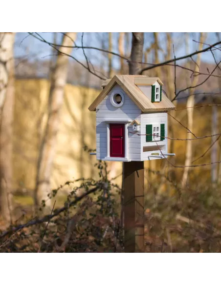 Mangeoire et Nichoir Oiseaux - New England