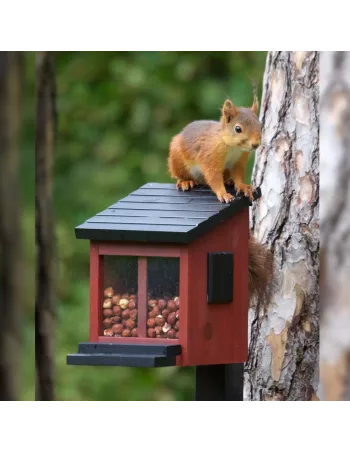 Mangeoire Ecureuils Ekorrmatare rouge 2