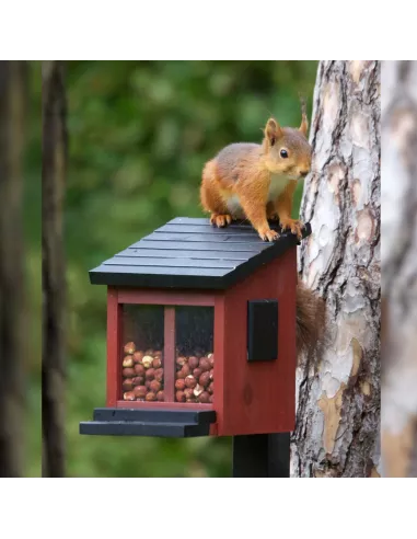Mangeoire Ecureuils Ekorrmatare rouge