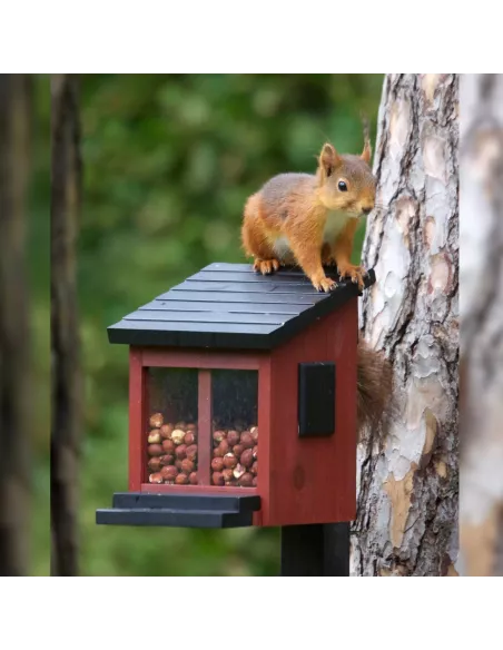 Mangeoire Ecureuils Ekorrmatare rouge