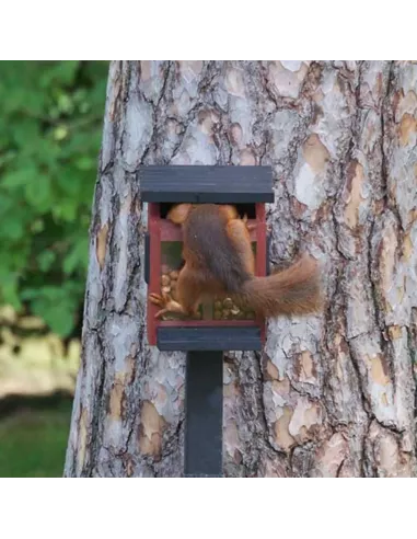 Mangeoire Ecureuils Ekorrmatare rouge