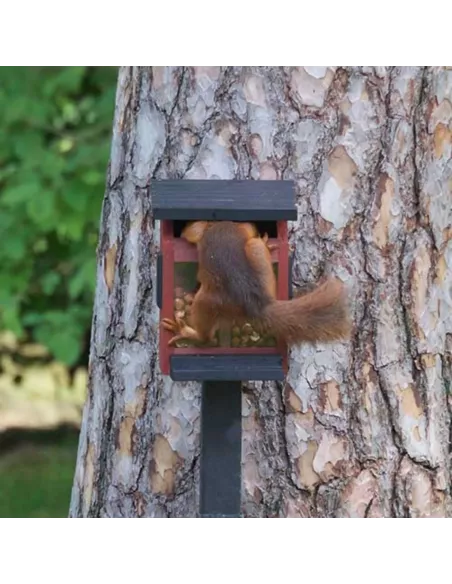 Mangeoire Ecureuils Ekorrmatare rouge