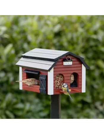 Mangeoire Wildlife Garden 2