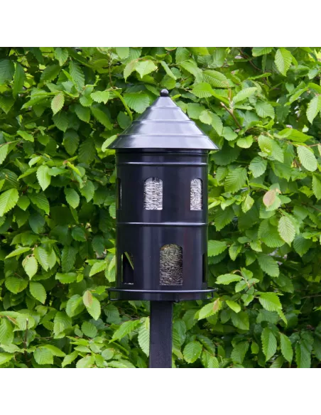 Mangeoire oiseaux Géante Noire