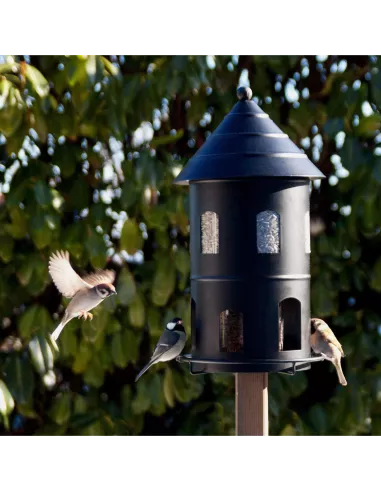 Mangeoire oiseaux Géante Noire