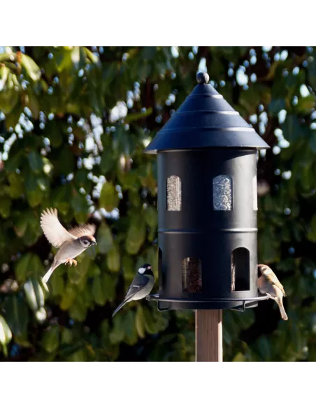 Mangeoire oiseaux Géante Noire