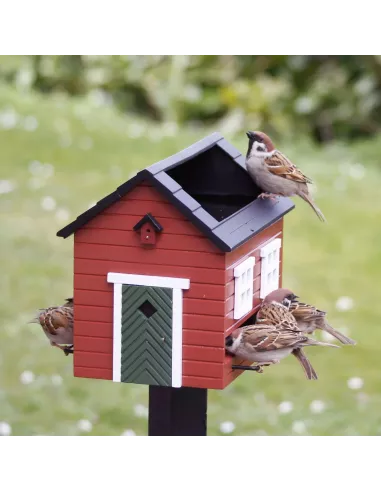 Mangeoire Oiseaux avec Bain - Maison Rouge