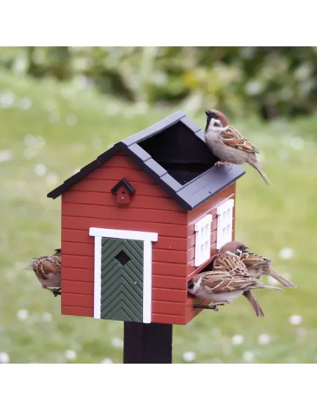 Mangeoire Oiseaux avec Bain - Maison Rouge