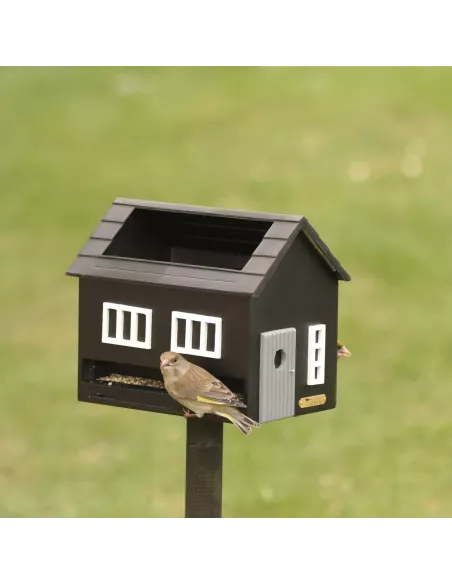 Mangeoire Oiseaux avec Bain - Maison Noire