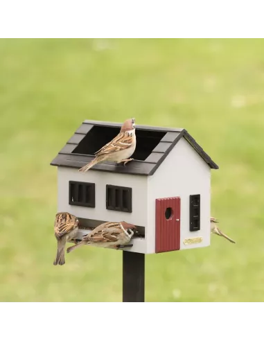 Mangeoire Oiseaux avec Bain - Maison Grise