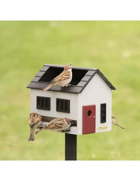 Mangeoire Oiseaux avec Bain - Maison Grise