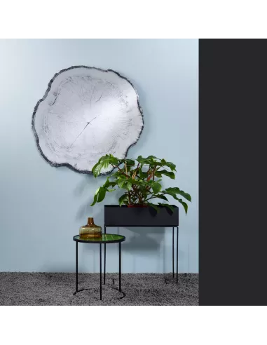 Miroir Design Tronc Arbre Arbo Dark L